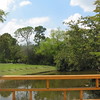 Charlene > Morikame Gardens, Delray Beach, Fla., March 2008 photo
